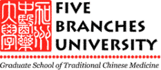 Five Branches University